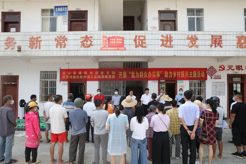 自貿(mào)試驗區(qū)欽州港片區(qū)稅務(wù)局黨委聯(lián)合靈山縣委組織部黨支部開展“我為群眾辦實事”助力鄉(xiāng)村振興主題活動