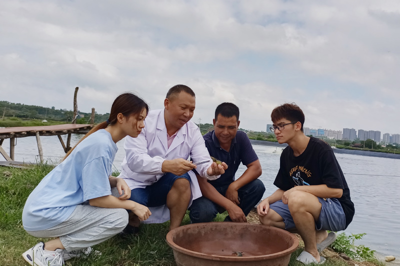北部灣大學(xué)方懷義科研團隊在觀察對蝦生長情況。