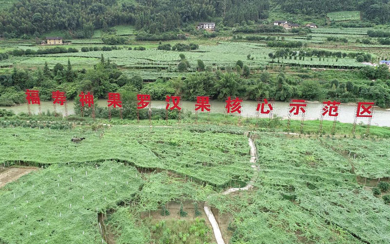 福壽神果羅漢果產(chǎn)業(yè)核心示范區(qū)。