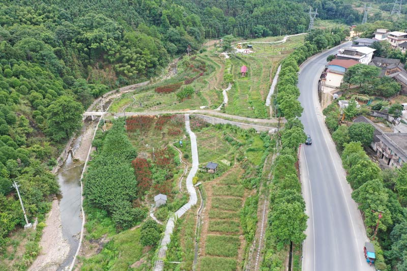 國道241線旁擴(kuò)建中海棠灣玫瑰園  秦中秋攝