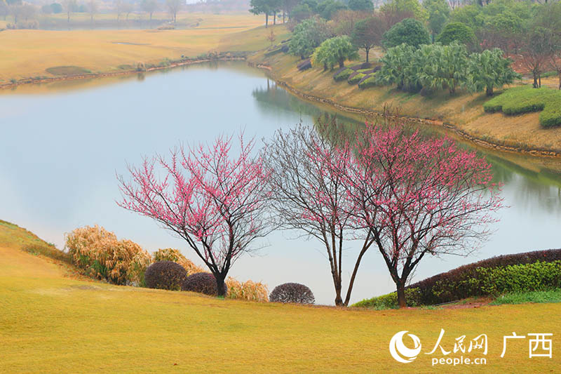 桂海晴嵐湖岸風景。人民網(wǎng) 付華周攝