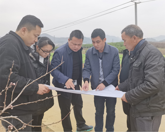 沙子鎮(zhèn)黨員干部一線研究對策推進項目建設(shè)。歐小芳-攝）.jpg