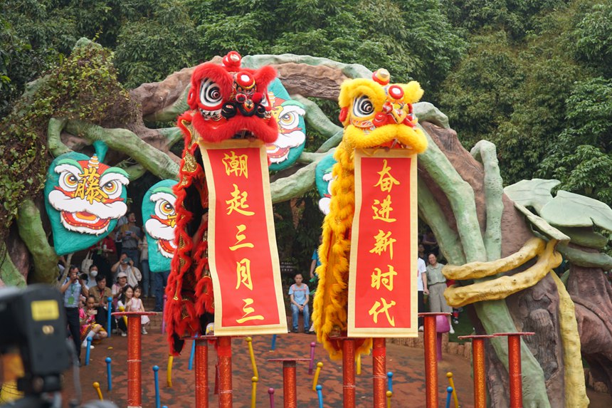 精彩的舞獅表演將活動氛圍推至高潮。自治區(qū)體育局群眾體育處供圖