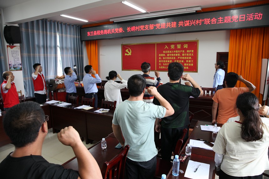 東蘭縣稅務(wù)局黨員與長(zhǎng)峒村黨員重溫入黨誓詞。陳惠芳攝